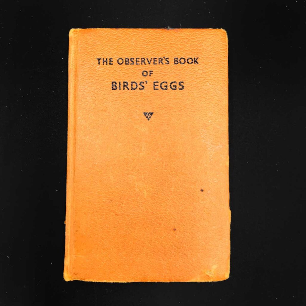 Birds’ Eggs Junk Journal – Iris Impressions Art Shop